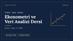 online birebir ekonometri ve veri analizi dersi veririm