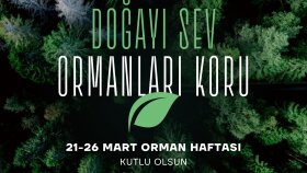 Sosyal Medya Tasarımı 4