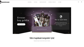 Web Site