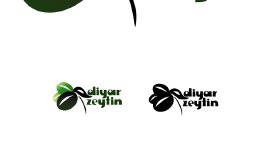 logo2