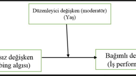 SPSS programı ile aracı etki analizi yapabilirim