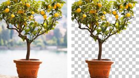  her türlü fotoğraflarınızı profesyonelce dekupe edebilirim