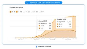 9 yıllık tecrübe | SEO, Content, ASO, UX