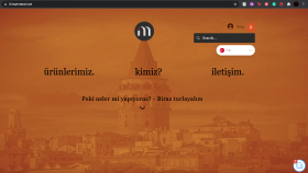 E-Ticaret