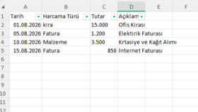 Gider ve Harcama Yönetim Tablosu (Filtreleme Özellikli)