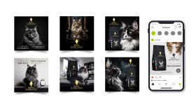 Krallar Gibi Beslen – Royal Maine Coon Sosyal Medya Tasarım