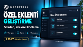 ihtiyacınıza özel WordPress eklentisi geliştiririm