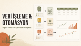 Python Veri İşleme ve Analiz Otomasyonu