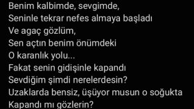 Şarkı Sözü