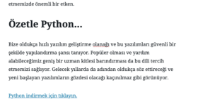 İş örneğim