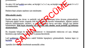 Tıp Çevirisi
