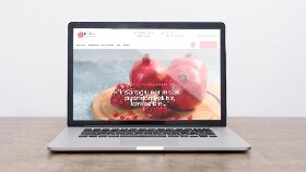 Kurumsal Web Site