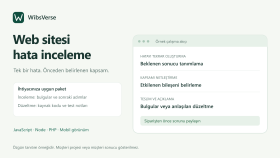 web sitenizdeki hataları inceler ve gideririm