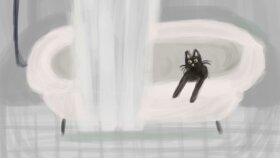 cat room