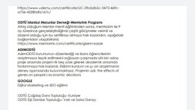 Ingenious- ÇEVİRİ VE İÇERİK ÜRETME