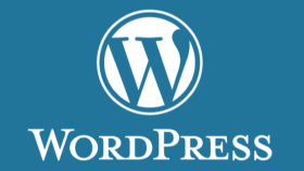 Wordpress ile ihtiyacınıza göre web sitesi oluşturabilirim