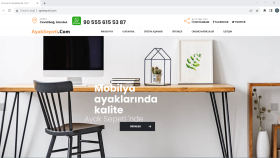 Ayaksepeti.Com Websitesi Tasarımı