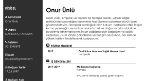 Profesyonel CV tasarımı !