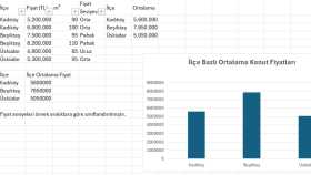 excel ile veri düzenleme analiz ve raporlama yaparım