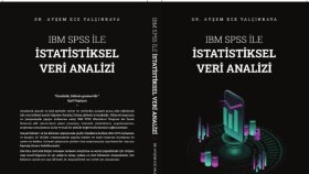 akademik ve özel veri analizi ve raporlama yapmaktayım