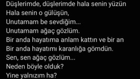 Şarkı Sözü