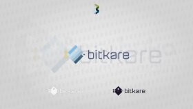 Bitkare Logotayp Tasarımı
