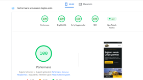Pagespeed Optimizasyonu 100 Skor