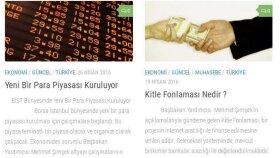 Makale Örneklerim