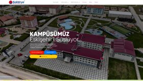 profesyonel site yapabilirim