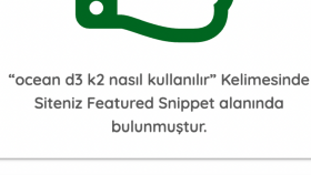 E-Ticaret Anahtar Kelime Optimizasyonu