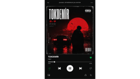 Tokdemir