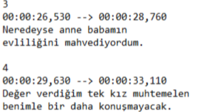 Dublaj Çevirisi