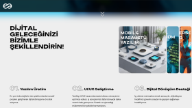 profesyonel site tasarlarım