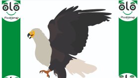 Piccolomer İllüstrasyon Çalışmaları