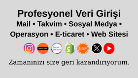 veri girişi işlerinizi yaparım