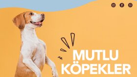 Poyraz Ödül Maması Sosyal Medya Görselleri