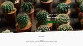 kaktusberatung.com - Site Kurulumu