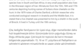 İngilizce - Türkçe Çeviri
