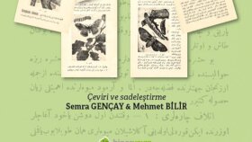 Osmanlıca belgelerinizi günümüz Türkçesine çeviririm