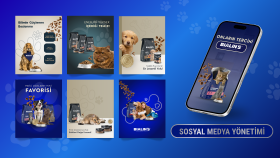 markanız için profesyonel sosyal medya yönetimi yaparım