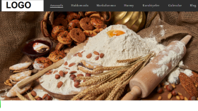 Modern Wordpress Web Sitesi Yapımı