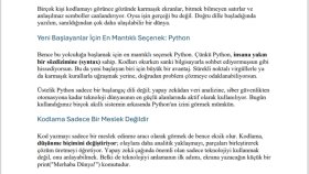 Python ile Kodlamaya Başlangıç: Örnek SEO İçeriği