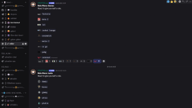 Public Discord Sunucusu
