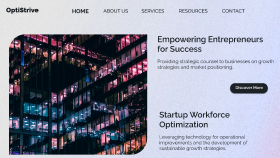 Business Consulting Web Design