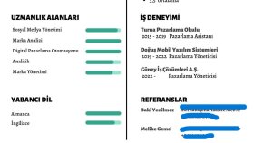 size en uygun cv hazırlayabilirim