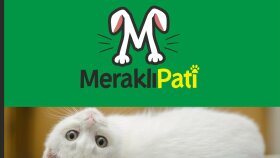 Logo Tasarımı