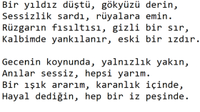 sizin için her türlü metin yazabilirim