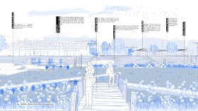 Storyboard yapabilirim