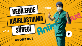 sosyal medya alanında özgün tasarımlar yapabilirim