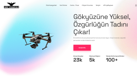 Wordpress ile anahtar teslim site